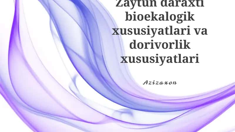Zaytun daraxti bioekologik xususiyatlari va dorivorlik xususiyatlari