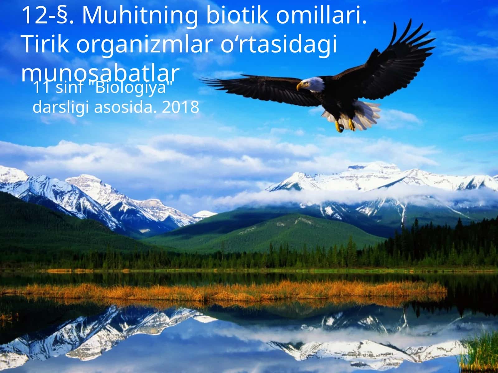 Muhitning biotik omillari
