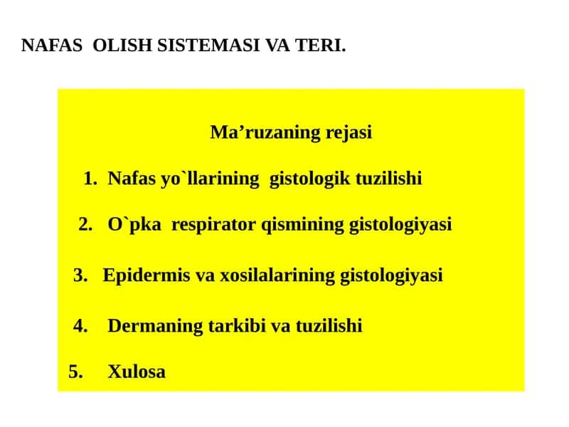 Nafasyo`llarining gistologik tuzilishi