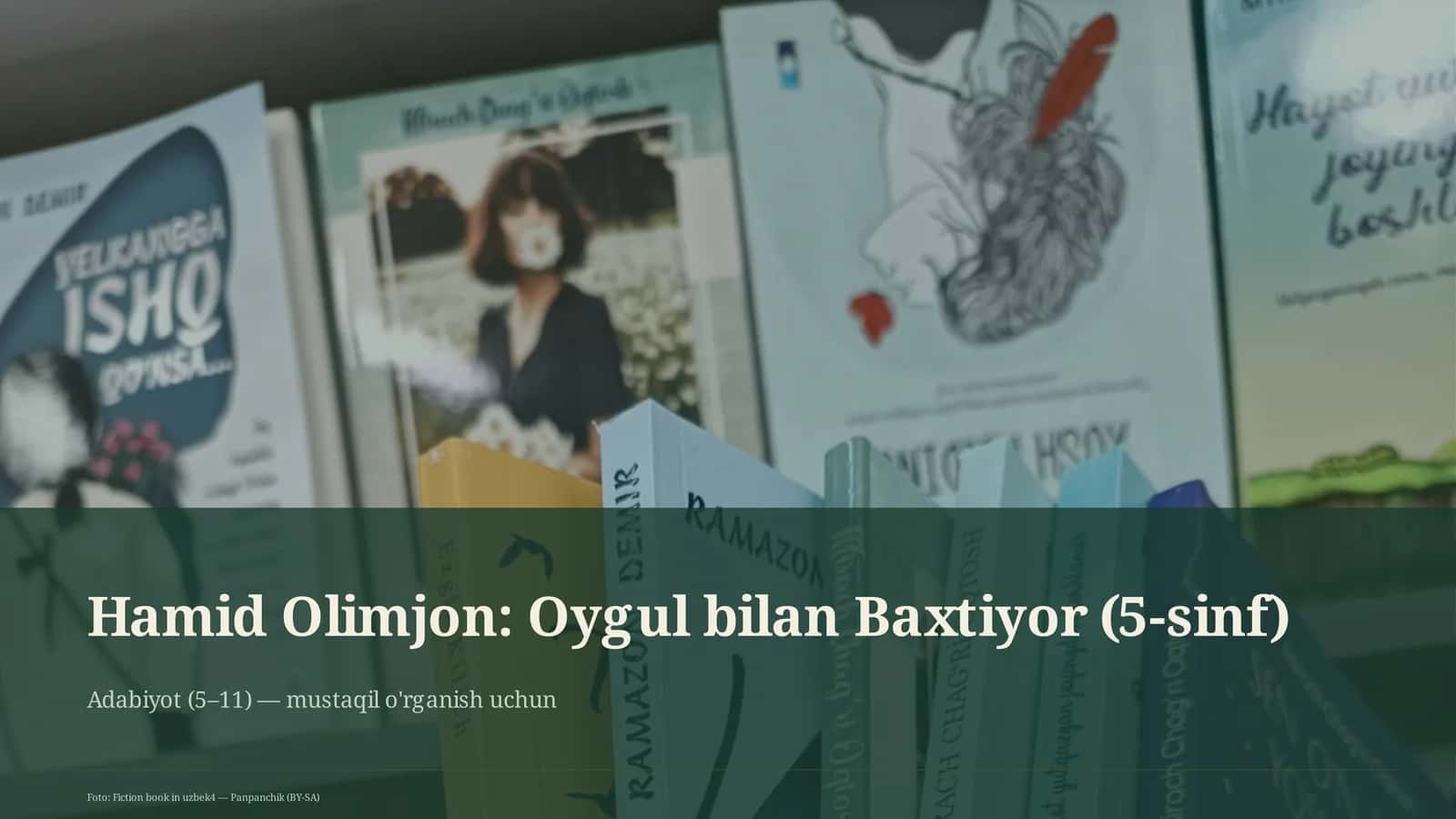 Adabiyot (5–11) — mustaqil o'rganish