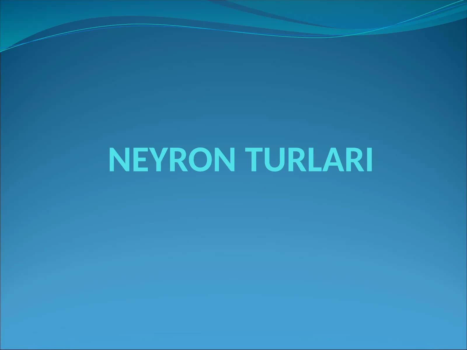 NEYRON TURLARI
