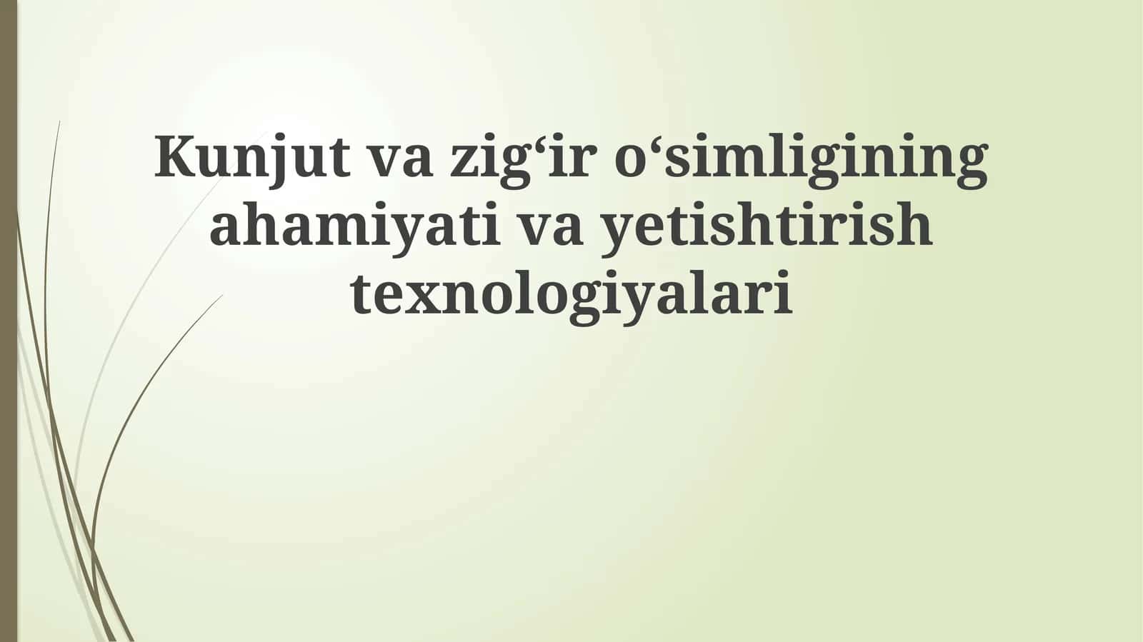 Sesame va zig'irning ahamiyati va iqtisodiy roli