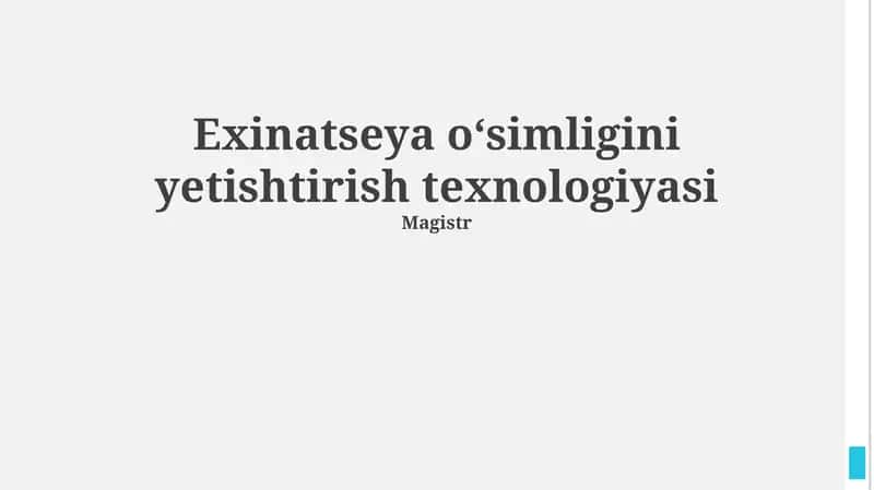 Exinatseya oʻsimligini yetishtirish texnologiyasi