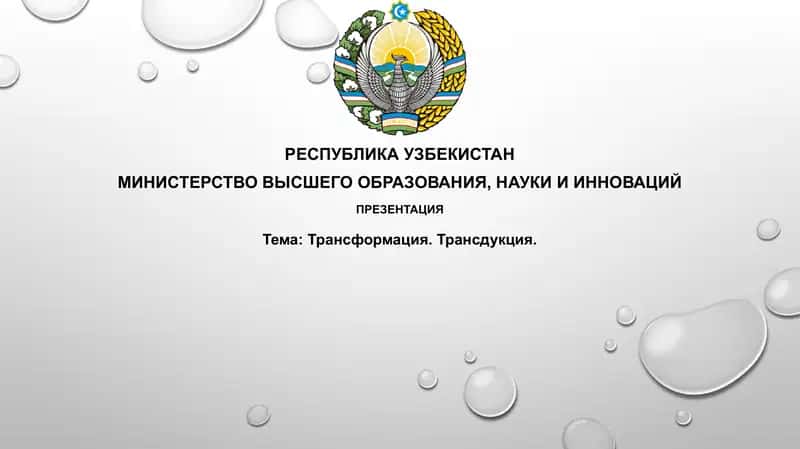 Трансформация и Трансдукция