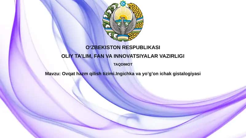 Ovqathazmqilishtizimi.Ingichkavayo’g’onichakgistalogiyasi