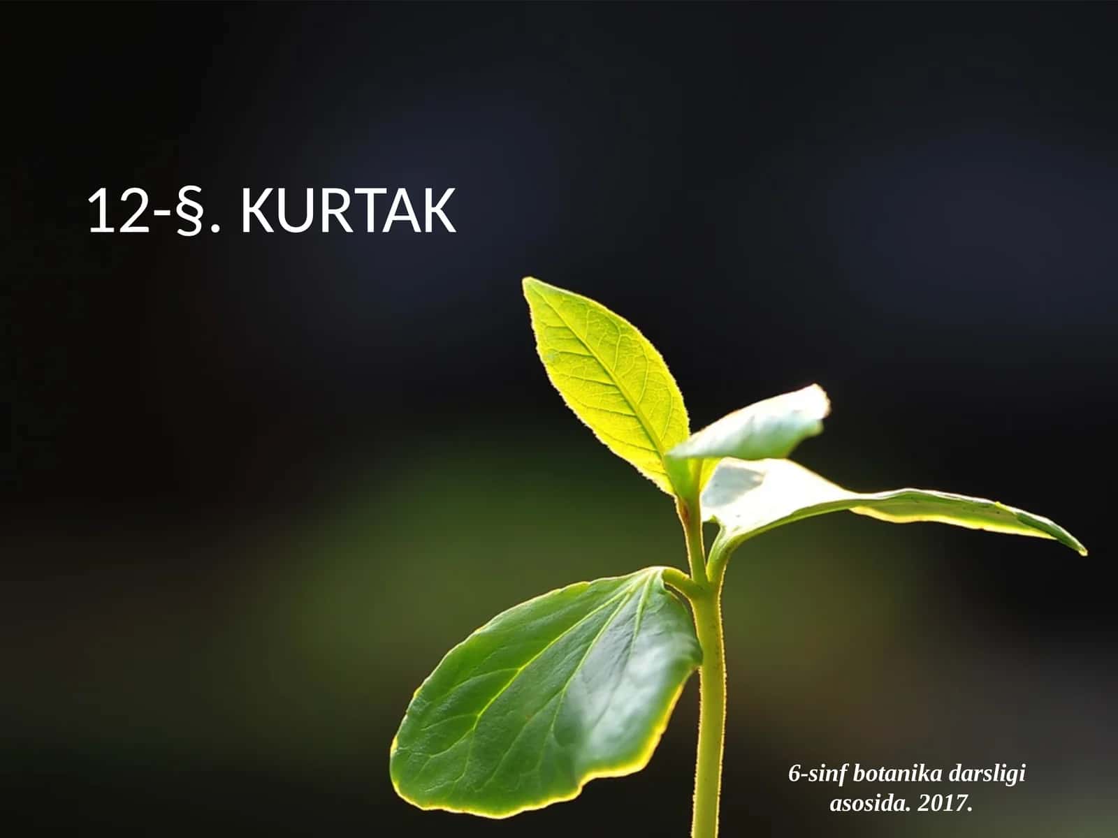 6-sinf Botanika Kurtak