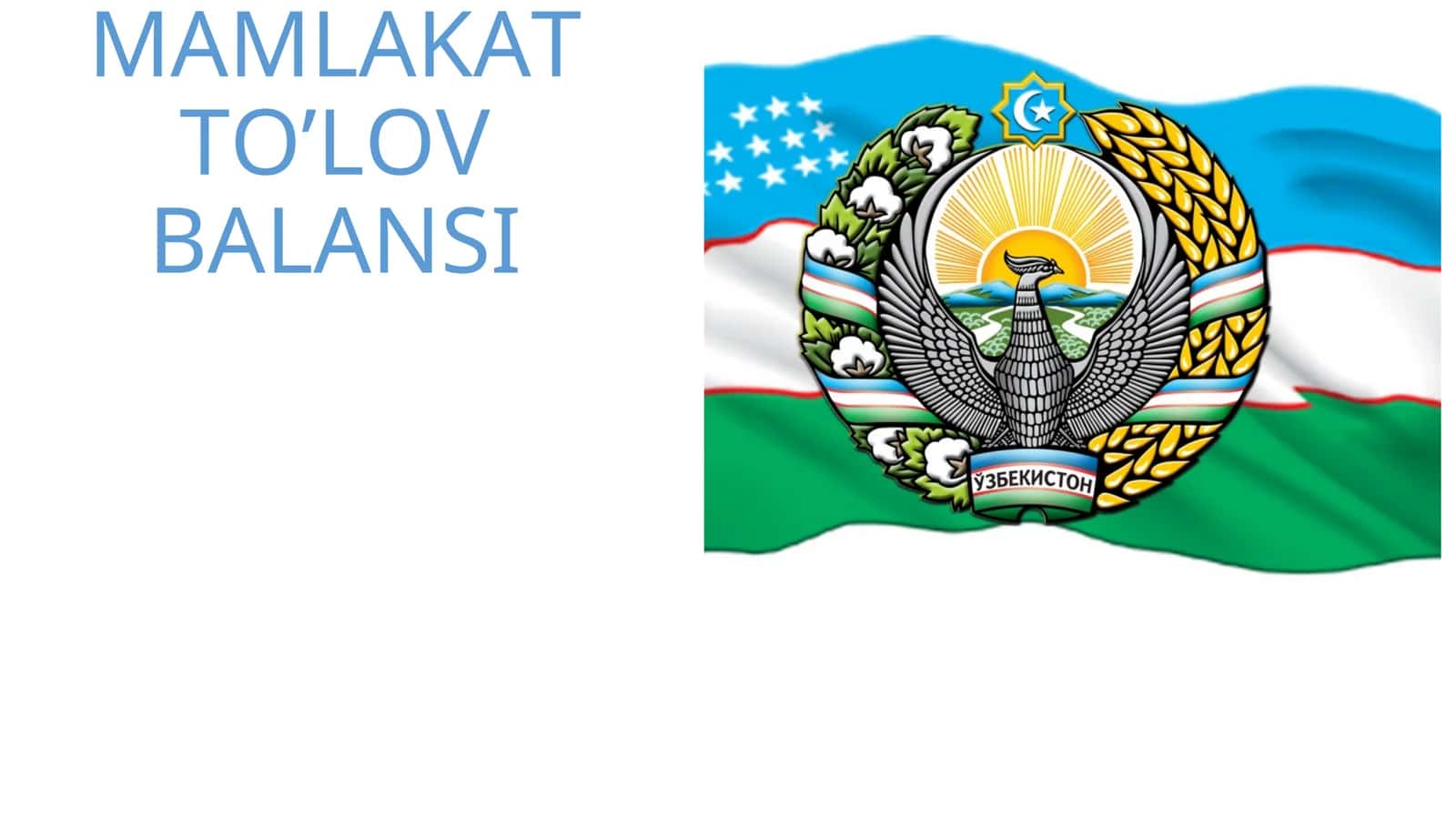 MAMLAKAT TO’LOV BALANSI