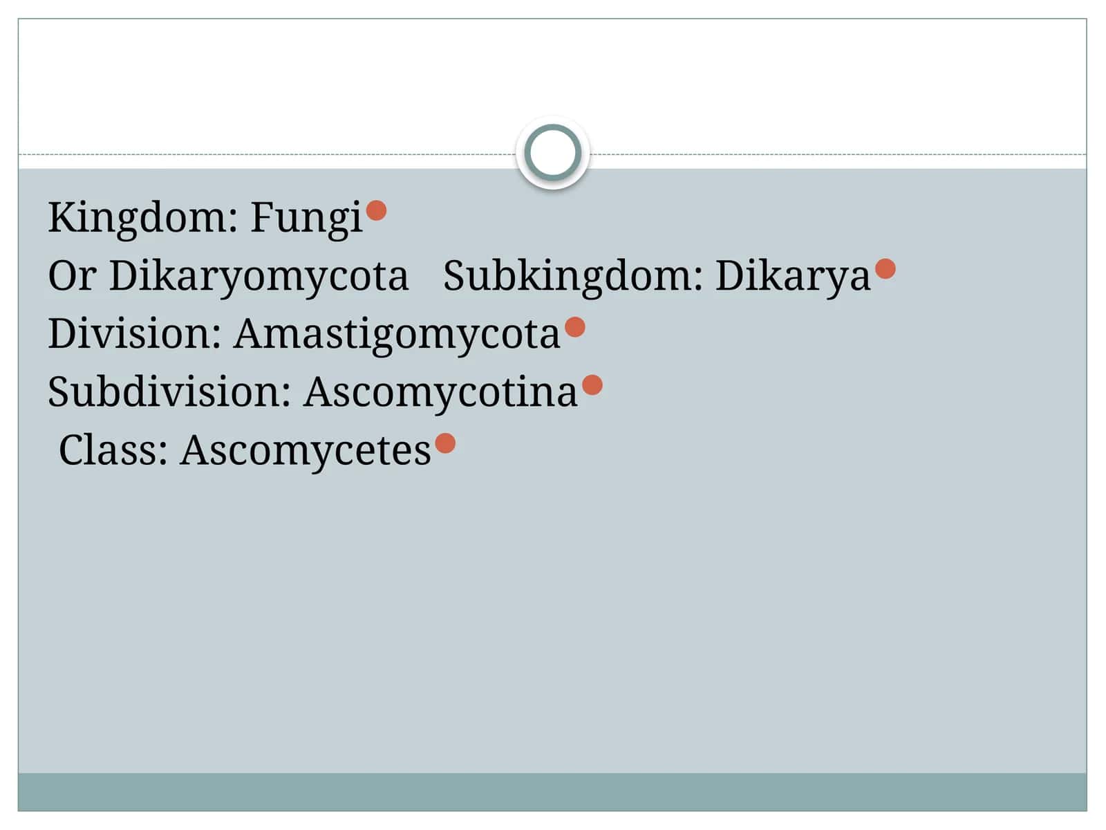 Ascomycetes