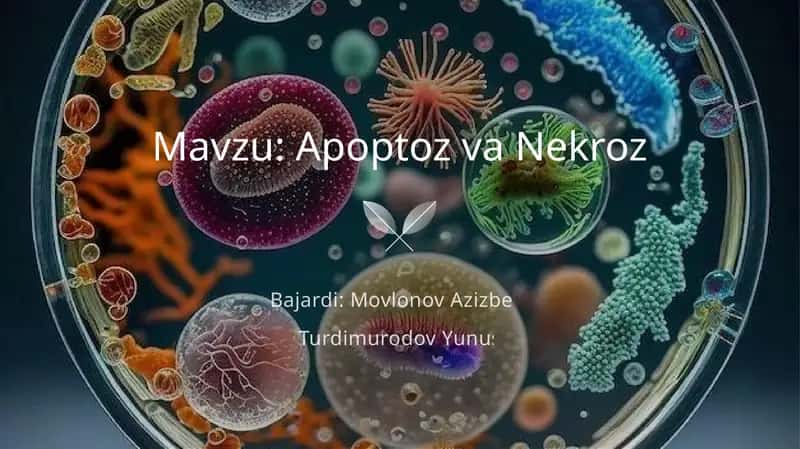 Apoptoz va Nekroz