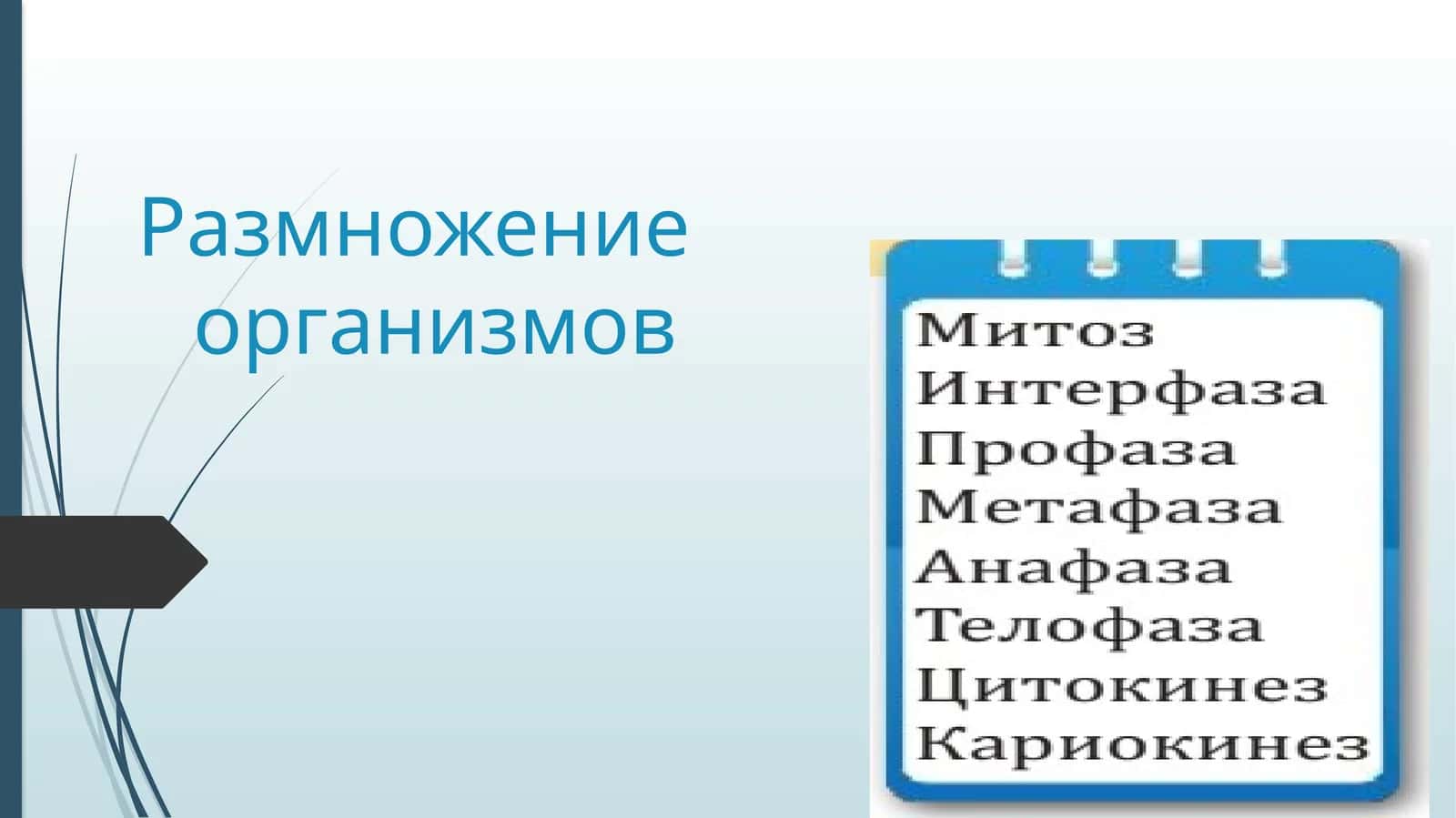 Методические указания по биологии