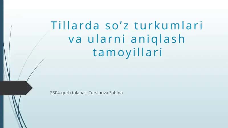 So’z turkumlari va ularni aniqlash tamoyillari