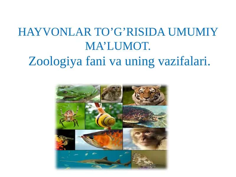 ZOOLOGIYA FANI VA UNING VAZIFALARI