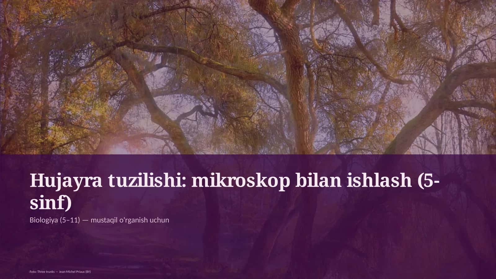 Hujayra tuzilishi: mikroskop bilan ishlash (5-sinf)