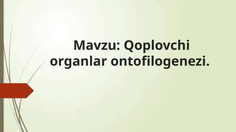 Qoplovchi organlar onto filogenezi