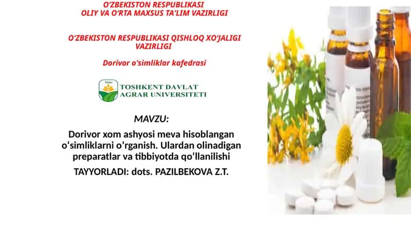 Dorivor о‘simliklari mevalari