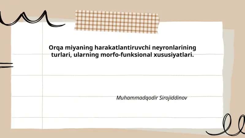 Orqa miyada motor neyronlarning turlari