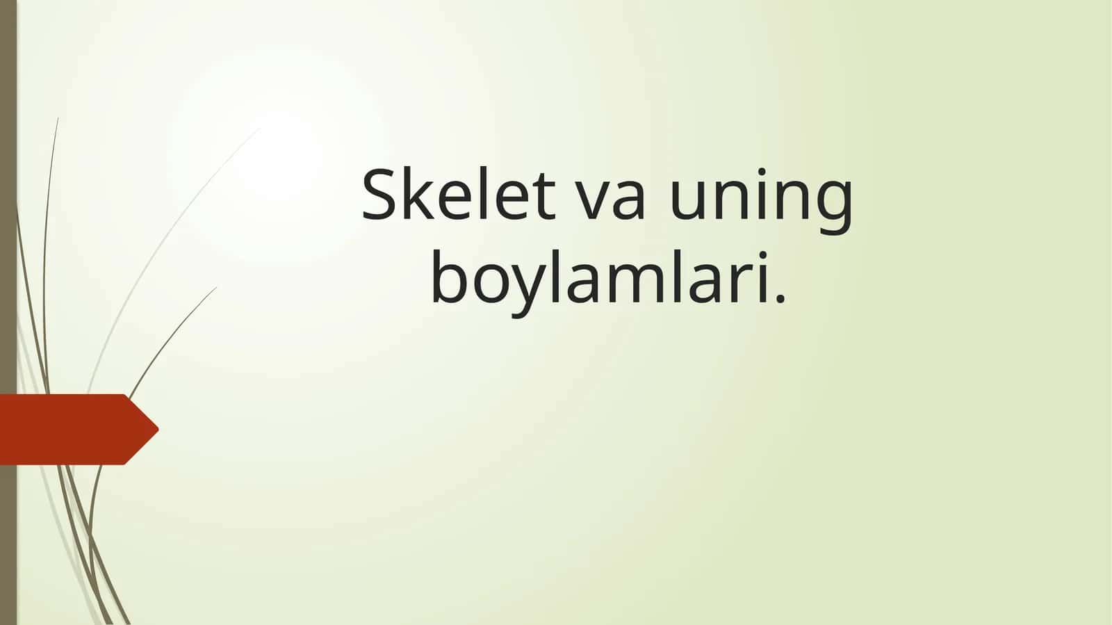 Skelet vauning boylamlari