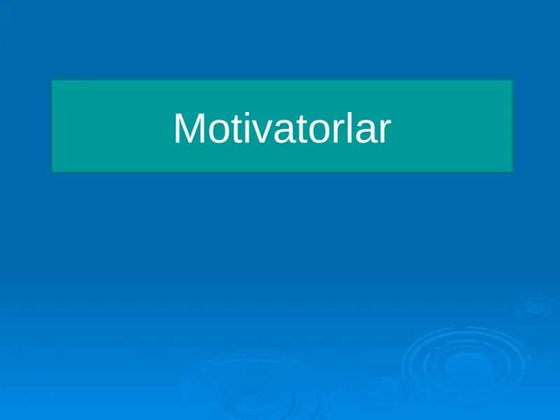 Motivatorlar
