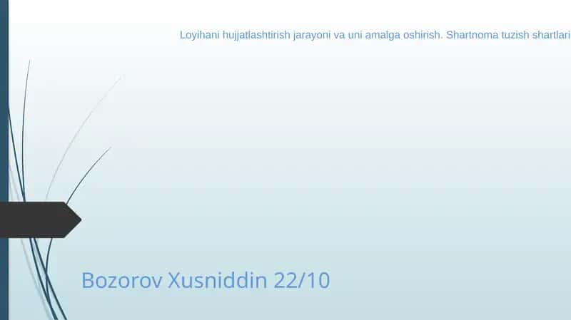 Loyihani hujjatlashtirish jarayoni va uni amalga oshirish. Shartnoma tuzish shartlari