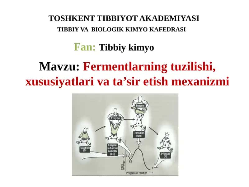 Fermentlarning tuzilishi, xususiyatlari va ta’siretish mexanizmi
