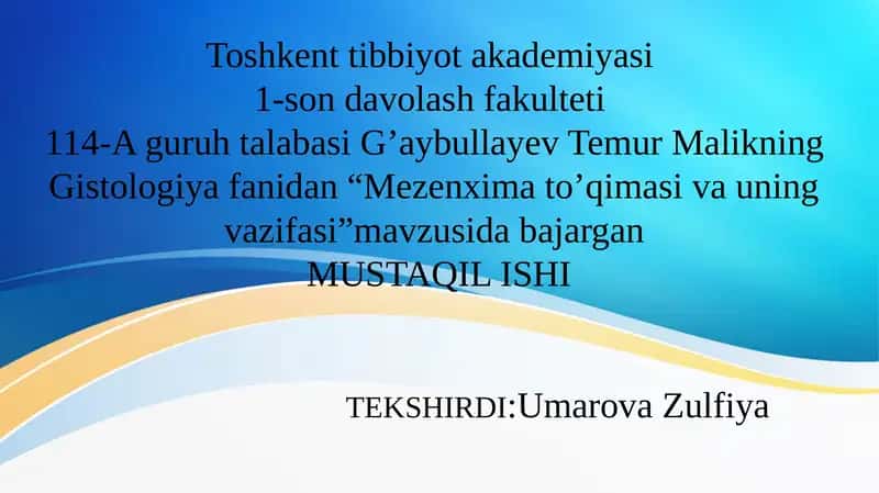 Mezenximato’qimasivauning vazifasi