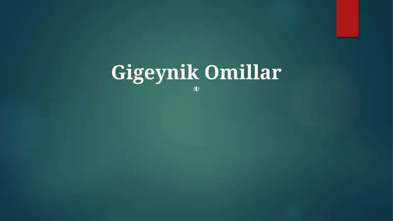 Gigeynik Omillar