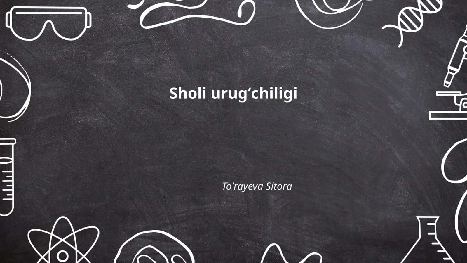 Sholi urugʻchiligi