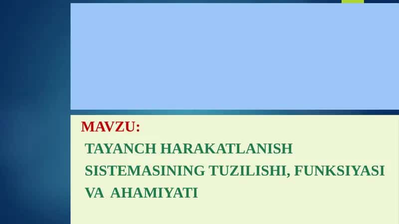 Sistemani tuzilishi, funktsiyasi va ahamiyati