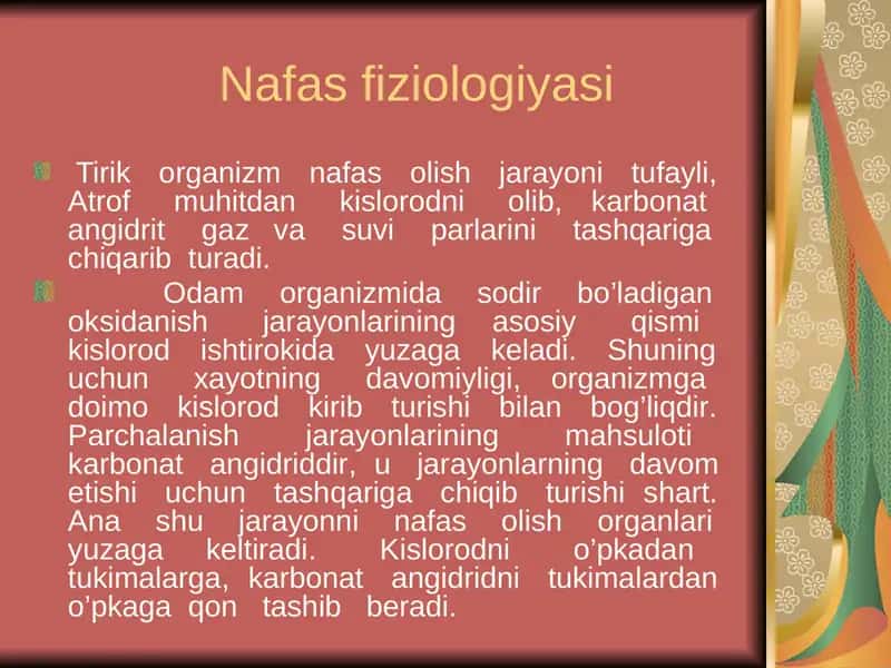 Nafas fiziologiyasi
