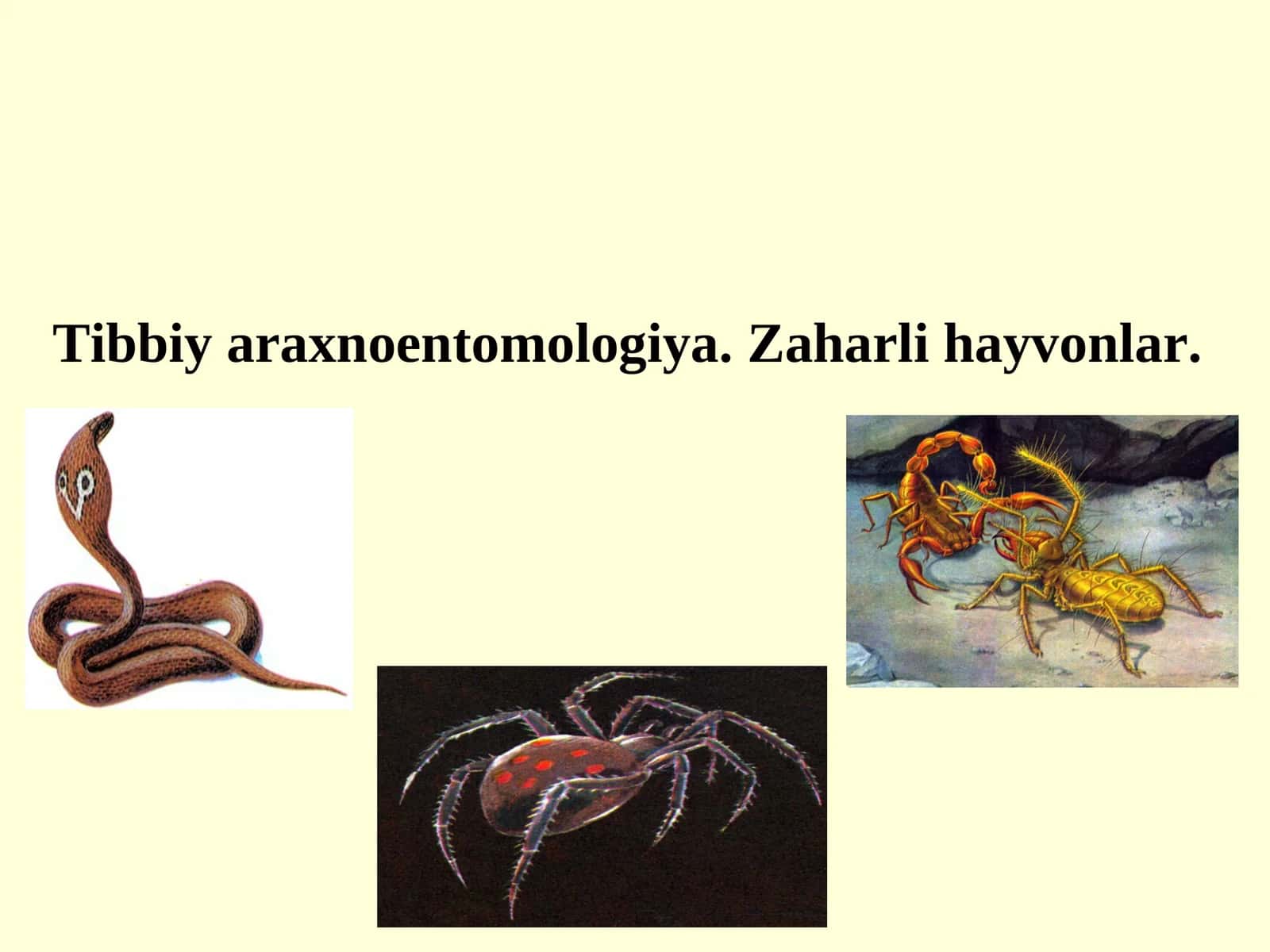 Tibbiy araxnoentomologiya. Zaharli hayvonlar