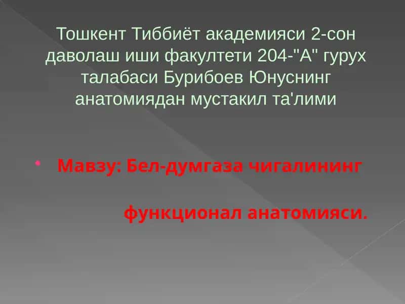 Бел-думгаза чигалининг функционал анатомияси