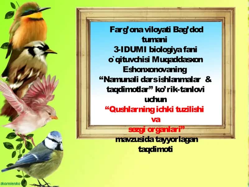 Qushlarning ichki tuzilishi va sezgi organlari mavzusida taqdimot