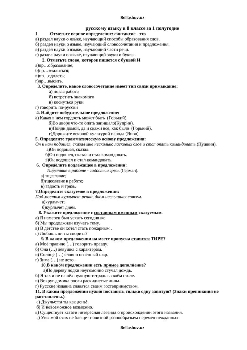 русскому языку в 8 классе за 1 полугодие
