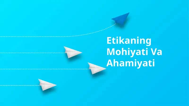 Axloqiy tamoyillar: Etika xulq-atvor va qaror qabul qilishda rahbarlik qiluvchi axloqiy tamoyillarni o'rnatish