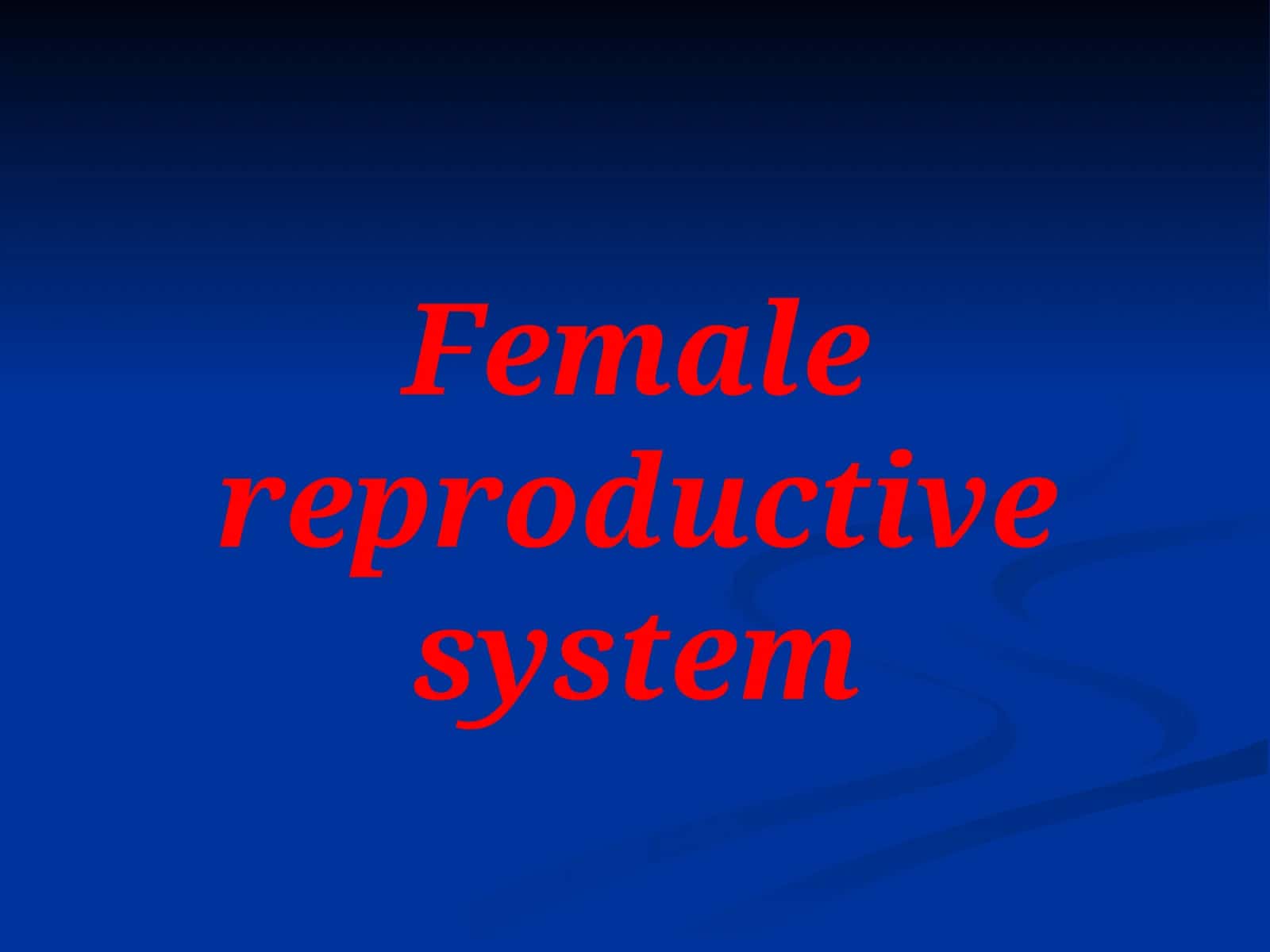 Female reproductive system
