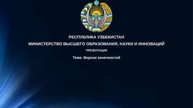 Верхние конечности