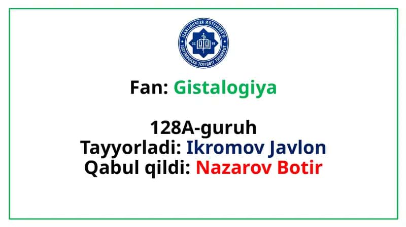 Limfa gistalogiyasi