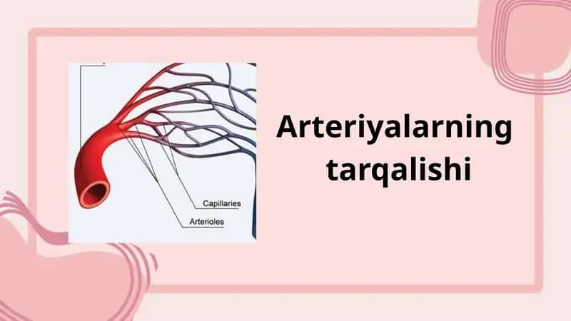 Arteriyalarning tarqalishi