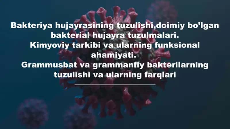 Bakteriya hujayrasining tuzulishi