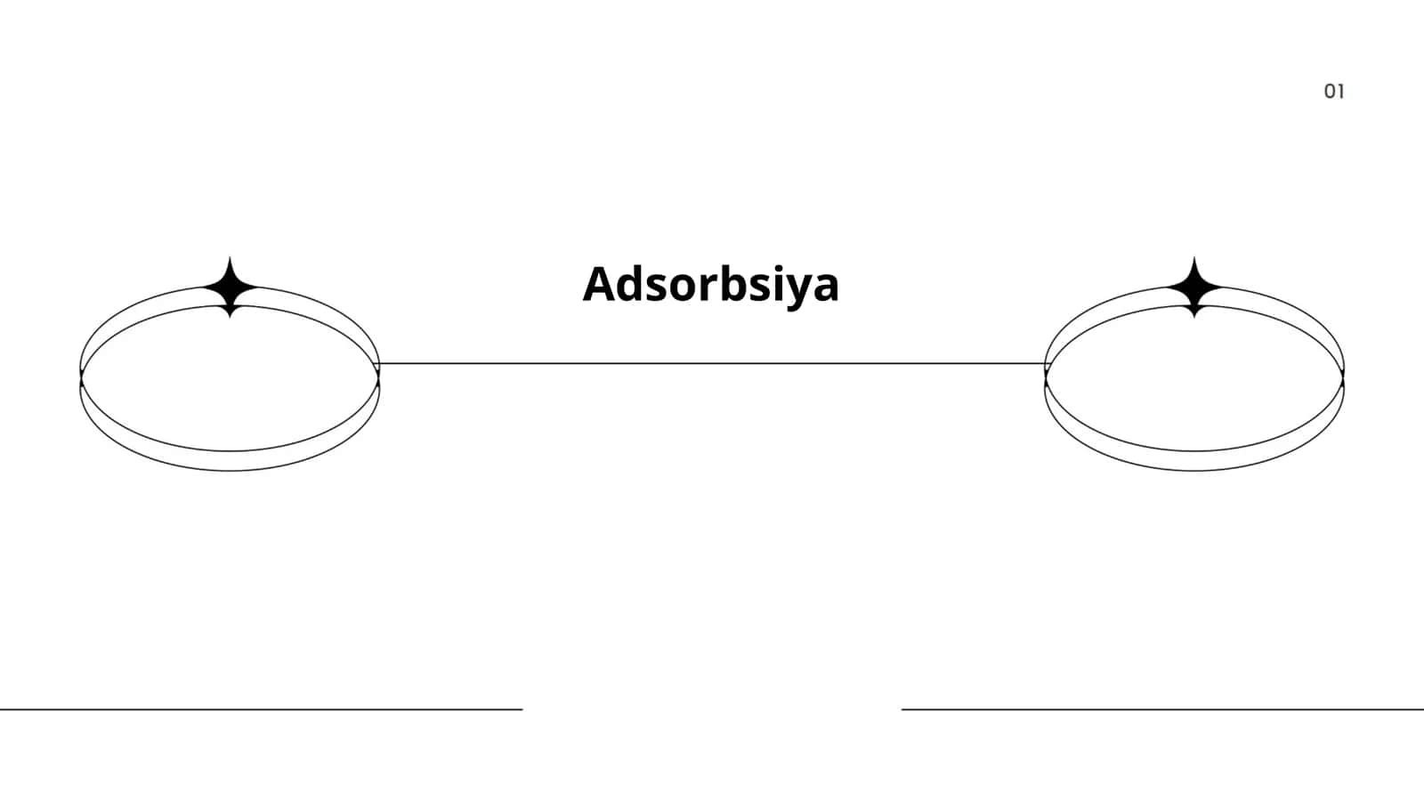 Adsorbsiya Rasulov Erkinjon