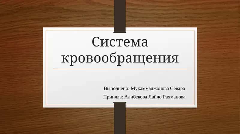 Система кровообращения
