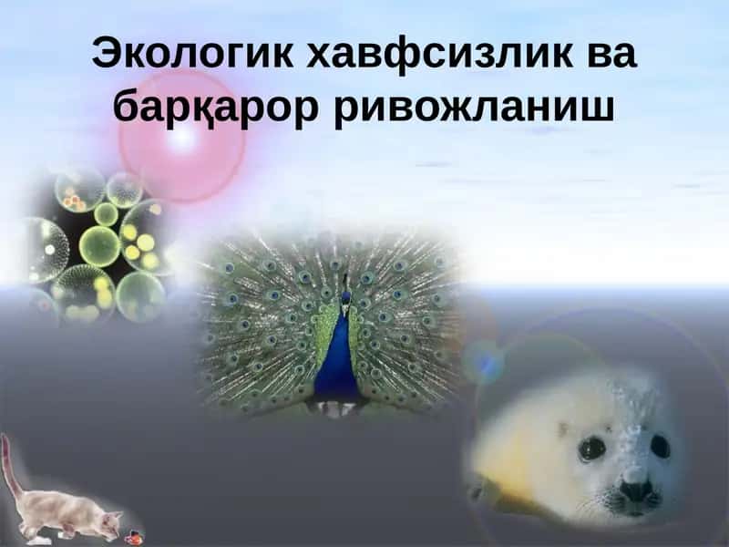 Экологик ҳавфсизлик ва барқарор ривожланиш