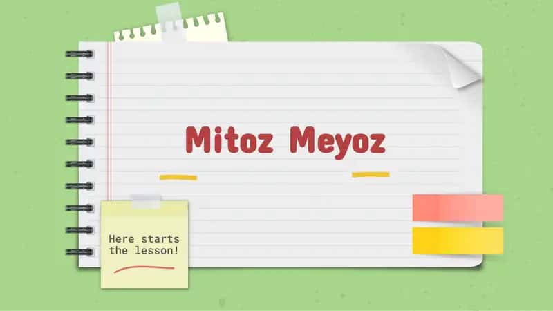 MitozMeyoz