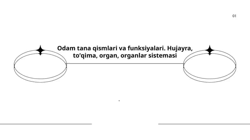 Odam tana qismlari va funksiyalari