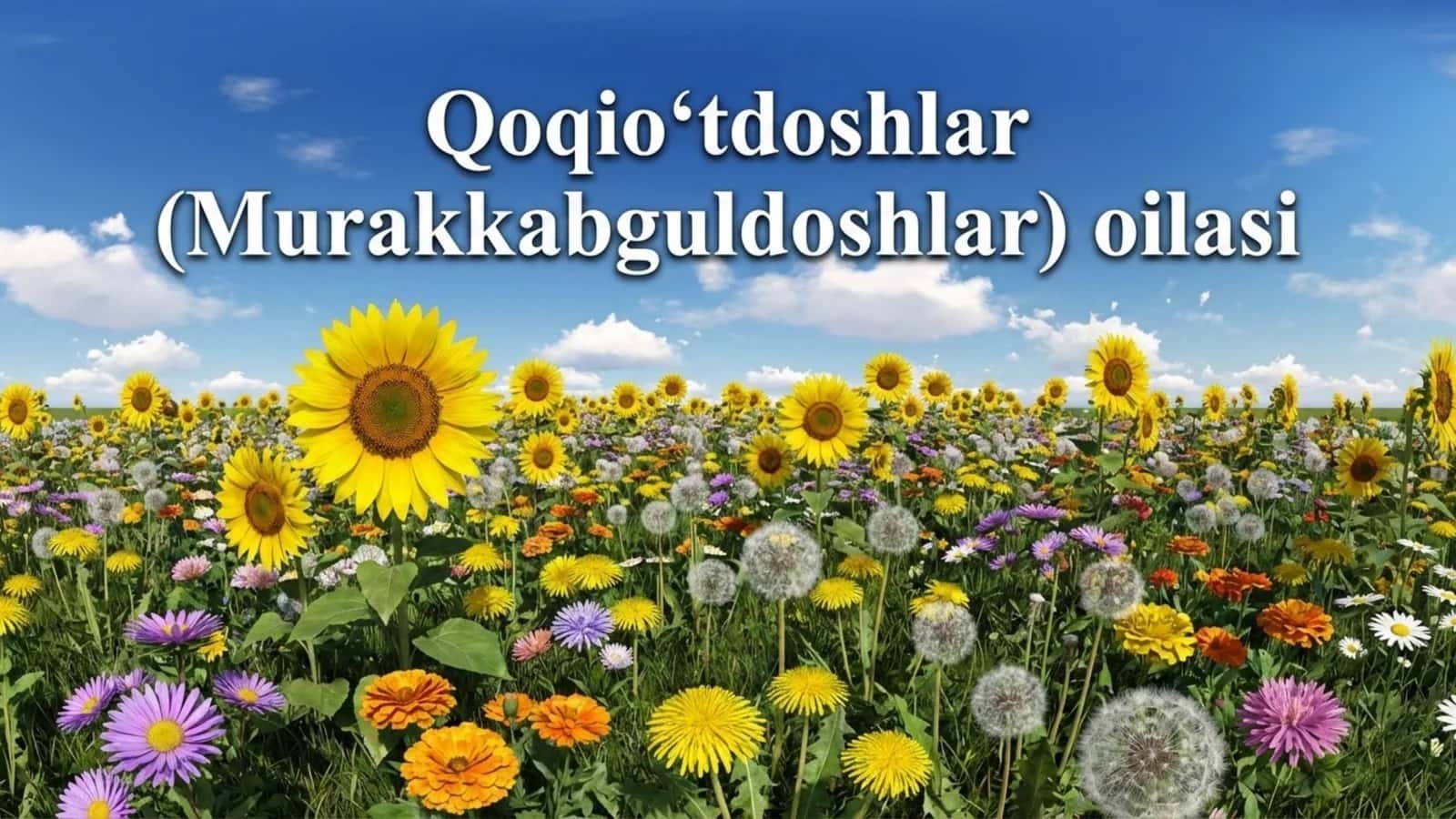 Qoqio'tdoshlar (Murakkabguldoshlar) oilasi