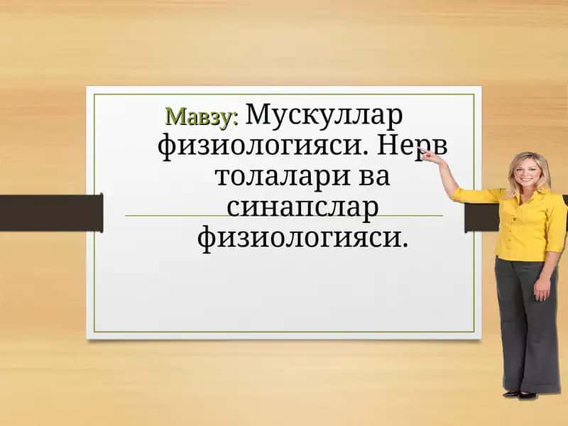 Мускуллар физиологияси. Нерв толалари ва синапслар физиологияси