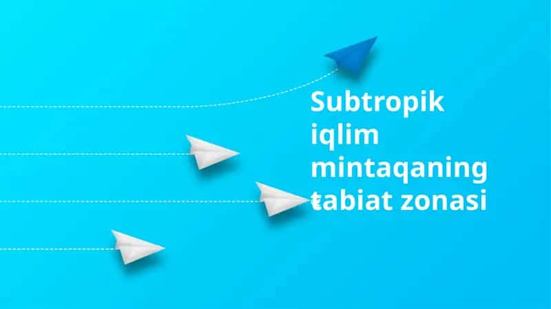 Subtropik iqlim mintaqaning tabiat zonasi