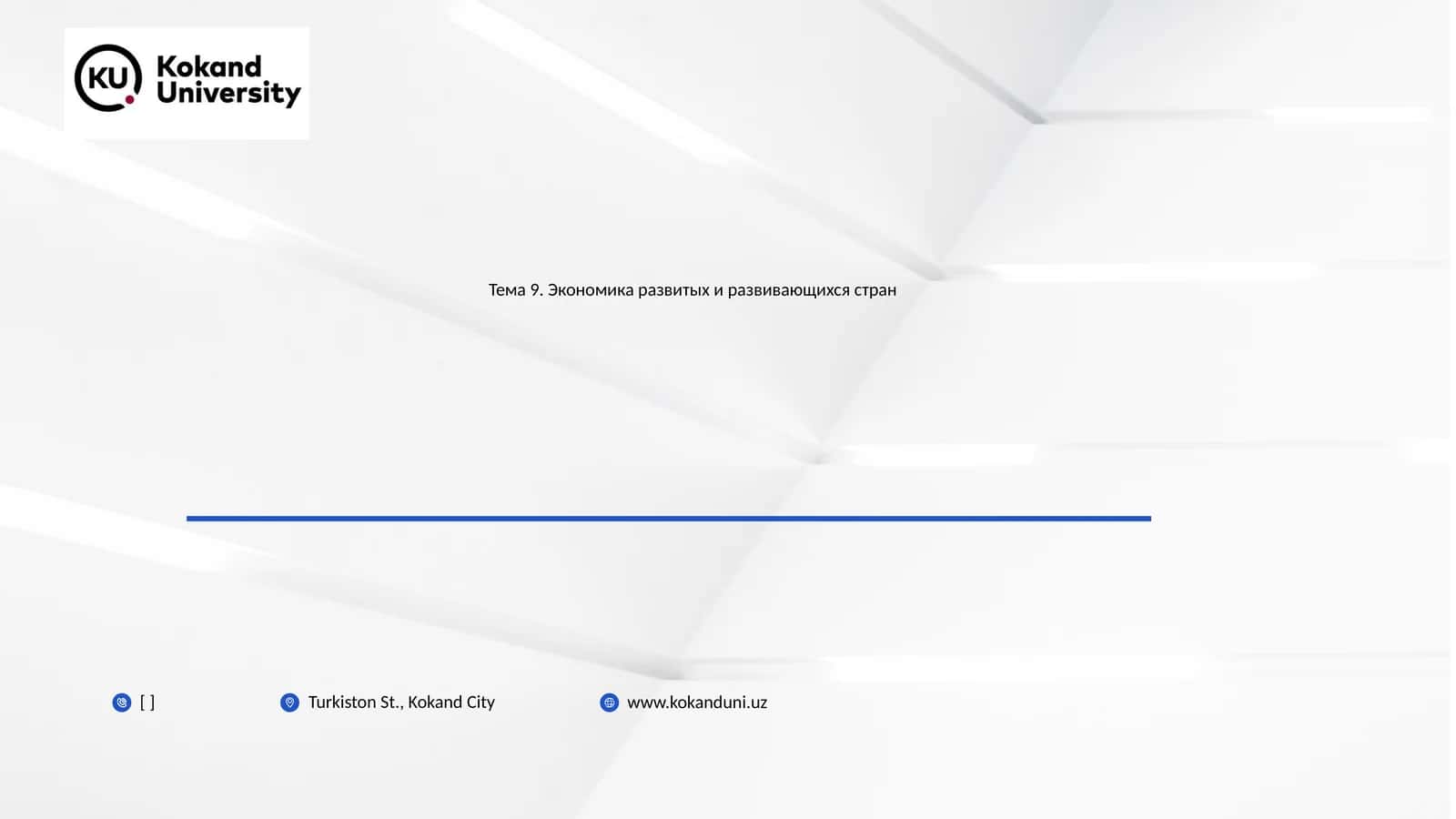 Экономика развитых и развивающихся стран
