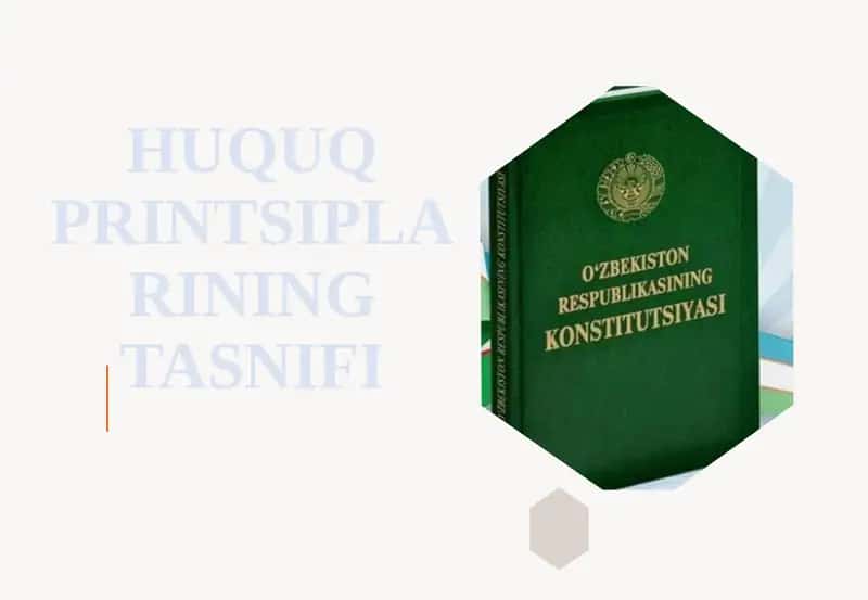 Huquq Printsiplarining Tasnifi
