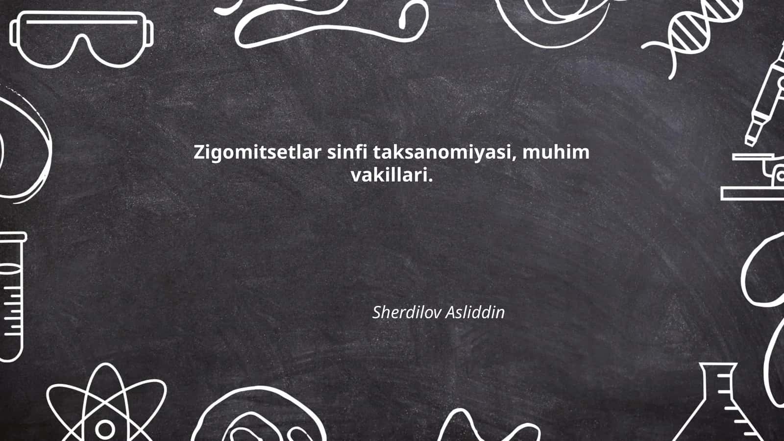 Zigomitsetlar sinfi taksanomiyasi, muhim vakillari